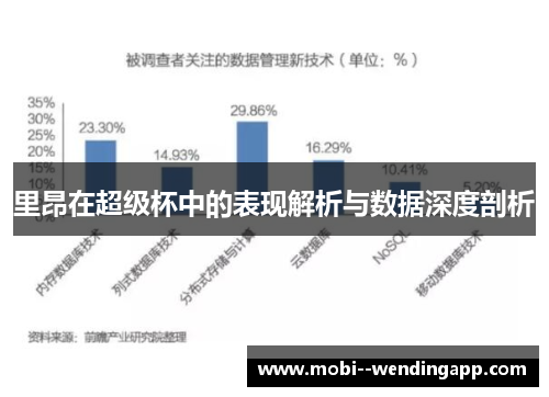 里昂在超级杯中的表现解析与数据深度剖析 里昂在超级杯中的表现解析与数据深度剖析