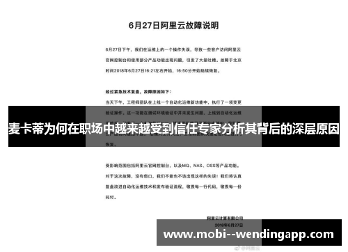 麦卡蒂为何在职场中越来越受到信任专家分析其背后的深层原因