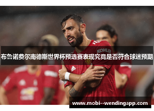 布鲁诺费尔南德斯世界杯预选赛表现究竟是否符合球迷预期