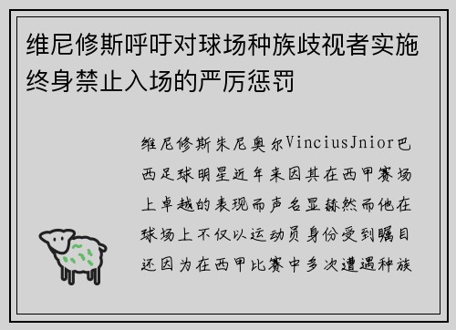 维尼修斯呼吁对球场种族歧视者实施终身禁止入场的严厉惩罚 维尼修斯呼吁对球场种族歧视者实施终身禁止入场的严厉惩罚