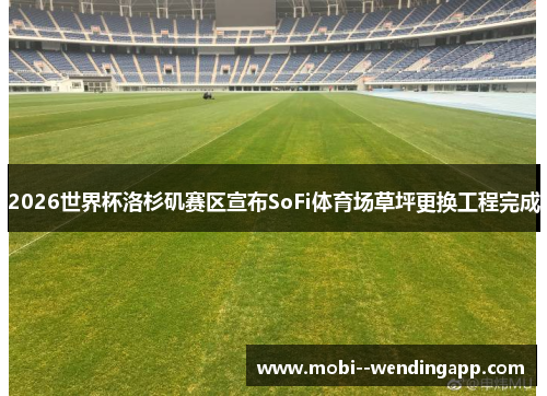 2026世界杯洛杉矶赛区宣布SoFi体育场草坪更换工程完成 2026世界杯洛杉矶赛区宣布SoFi体育场草坪更换工程完成
