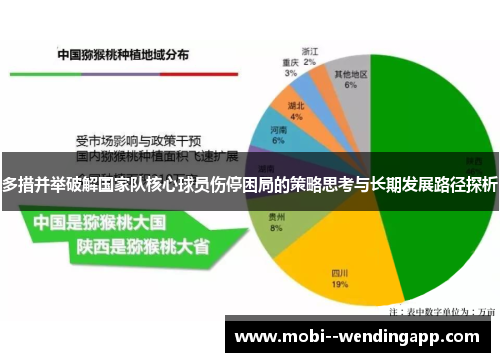 多措并举破解国家队核心球员伤停困局的策略思考与长期发展路径探析